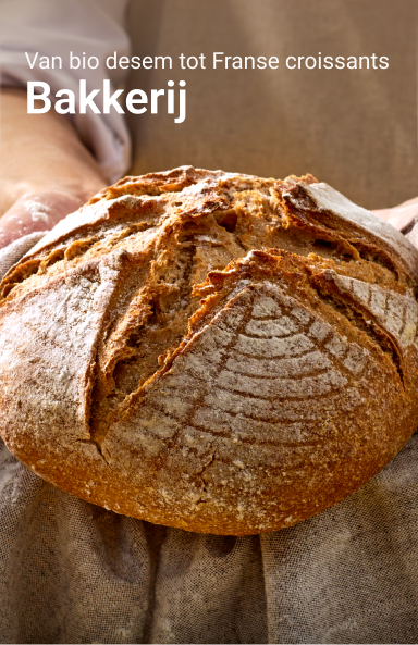 picnic-product-image