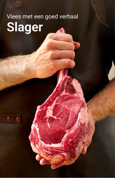 picnic-product-image