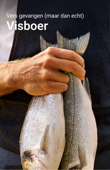 picnic-product-image