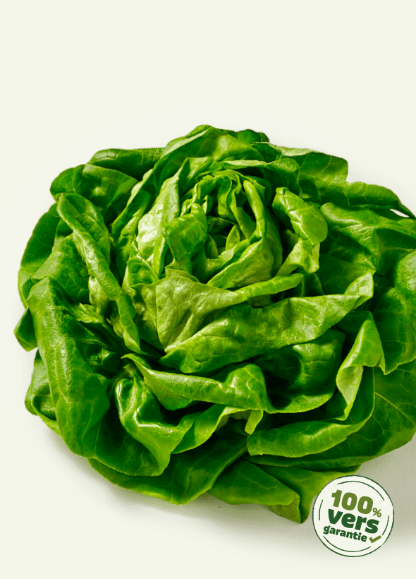 picnic-product-image