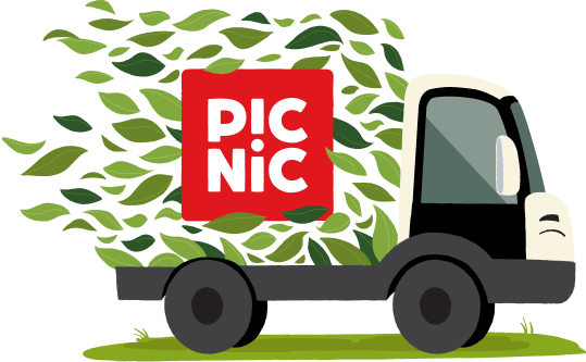 Electric Picnic Vehicle