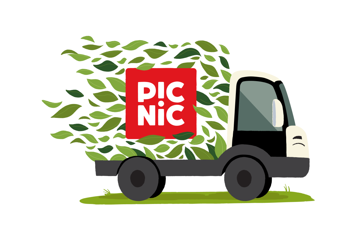 Electric Picnic Vehicle