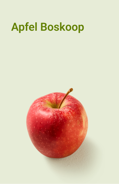 picnic-product-image