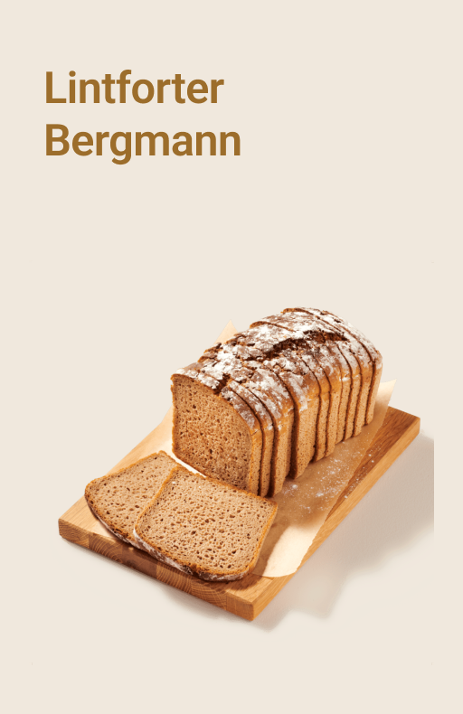 picnic-product-image