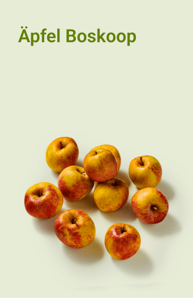 picnic-product-image