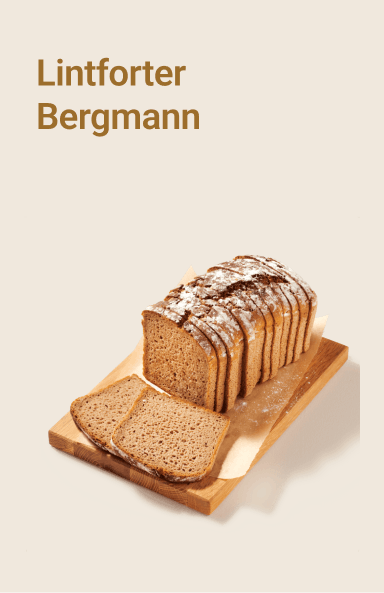 picnic-product-image