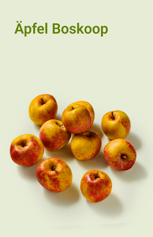 picnic-product-image