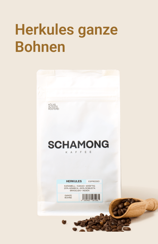 picnic-product-image