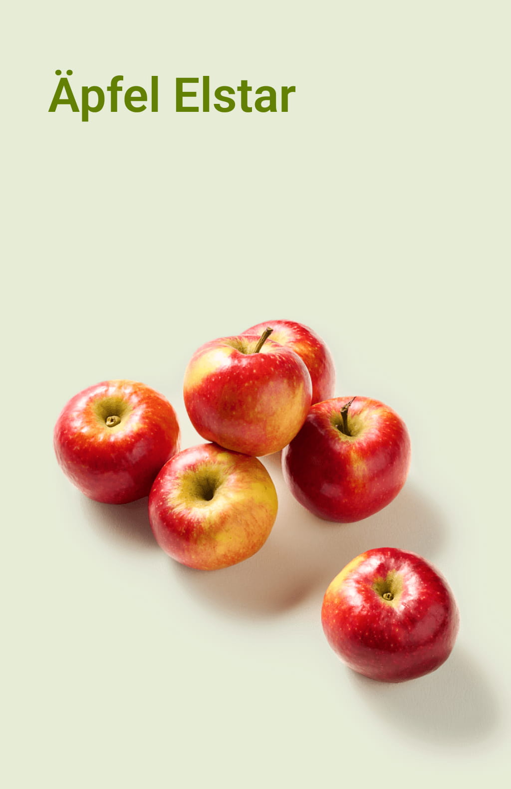 picnic-product-image