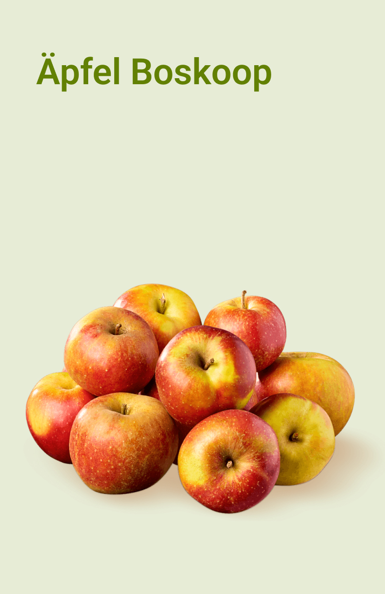 picnic-product-image